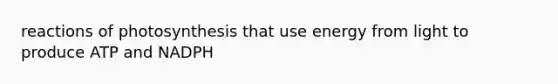 reactions of photosynthesis that use energy from light to produce ATP and NADPH