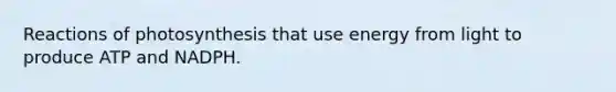 Reactions of photosynthesis that use energy from light to produce ATP and NADPH.