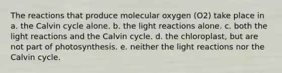 The reactions that produce molecular oxygen (O2) take place in a. the Calvin cycle alone. b. the light reactions alone. c. both the light reactions and the Calvin cycle. d. the chloroplast, but are not part of photosynthesis. e. neither the light reactions nor the Calvin cycle.