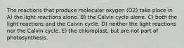 The reactions that produce molecular oxygen (O2) take place in A) the light reactions alone. B) the Calvin cycle alone. C) both the light reactions and the Calvin cycle. D) neither the light reactions nor the Calvin cycle. E) the chloroplast, but are not part of photosynthesis.