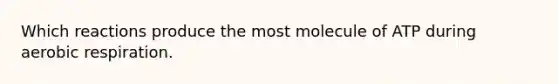 Which reactions produce the most molecule of ATP during aerobic respiration.
