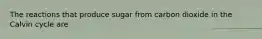 The reactions that produce sugar from carbon dioxide in the Calvin cycle are