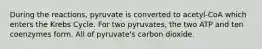 During the reactions, pyruvate is converted to acetyl-CoA which enters the Krebs Cycle. For two pyruvates, the two ATP and ten coenzymes form. All of pyruvate's carbon dioxide.