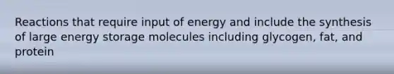 Reactions that require input of energy and include the synthesis of large <a href='https://www.questionai.com/knowledge/kuip5t73aA-energy-storage' class='anchor-knowledge'>energy storage</a> molecules including glycogen, fat, and protein