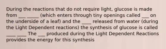 During the reactions that do not require light, glucose is made from ___ _____ (which enters through tiny openings called ___ on the underside of a leaf) and the ____ released from water (during the Light Dependent reactions) the synthesis of glucose is called ____ ____ The ___ produced during the Light Dependent Reactions provides the energy for this synthesis