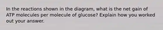 In the reactions shown in the diagram, what is the net gain of ATP molecules per molecule of glucose? Explain how you worked out your answer.