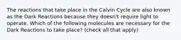 The reactions that take place in the Calvin Cycle are also known as the Dark Reactions because they doesn't require light to operate. Which of the following molecules are necessary for the Dark Reactions to take place? (check all that apply)