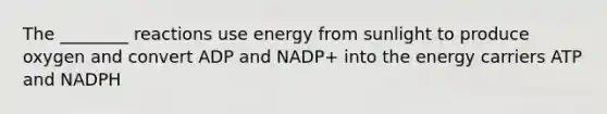 The ________ reactions use energy from sunlight to produce oxygen and convert ADP and NADP+ into the energy carriers ATP and NADPH