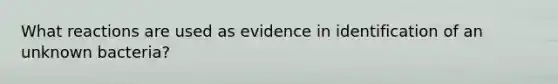 What reactions are used as evidence in identification of an unknown bacteria?