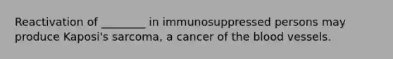 Reactivation of ________ in immunosuppressed persons may produce Kaposi's sarcoma, a cancer of the blood vessels.