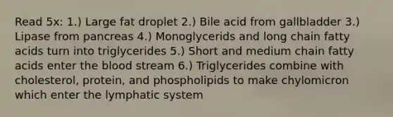 Read 5x: 1.) Large fat droplet 2.) Bile acid from gallbladder 3.) Lipase from pancreas 4.) Monoglycerids and long chain fatty acids turn into triglycerides 5.) Short and medium chain fatty acids enter <a href='https://www.questionai.com/knowledge/k7oXMfj7lk-the-blood' class='anchor-knowledge'>the blood</a> stream 6.) Triglycerides combine with cholesterol, protein, and phospholipids to make chylomicron which enter the lymphatic system