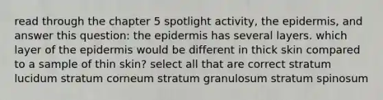 read through the chapter 5 spotlight activity, the epidermis, and answer this question: the epidermis has several layers. which layer of the epidermis would be different in thick skin compared to a sample of thin skin? select all that are correct stratum lucidum stratum corneum stratum granulosum stratum spinosum