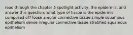 read through the chapter 5 spotlight activity, the epidermis, and answer this question: what type of tissue is the epidermis composed of? loose areolar connective tissue simple squamous epithelium dense irregular connective tissue stratified squamous epithelium