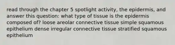 read through the chapter 5 spotlight activity, the epidermis, and answer this question: what type of tissue is the epidermis composed of? loose areolar connective tissue simple squamous epithelium dense irregular connective tissue stratified squamous epithelium