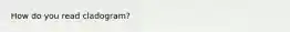 How do you read cladogram?