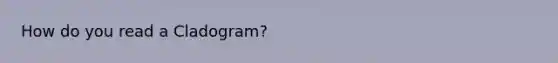 How do you read a Cladogram?