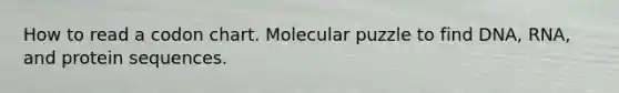 How to read a codon chart. Molecular puzzle to find DNA, RNA, and protein sequences.