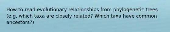 How to read evolutionary relationships from phylogenetic trees (e.g. which taxa are closely related? Which taxa have common ancestors?)