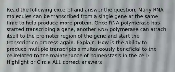 Read the following excerpt and answer the question. Many RNA molecules can be transcribed from a single gene at the same time to help produce more protein. Once RNA polymerase has started transcribing a gene, another RNA polymerase can attach itself to the promoter region of the gene and start the transcription process again. Explain: How is the ability to produce multiple transcripts simultaneously beneficial to the cellrelated to the maintenance of homeostasis in the cell? Highlight or Circle ALL correct answers