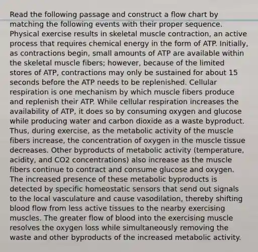 Read the following passage and construct a flow chart by matching the following events with their proper sequence. Physical exercise results in skeletal muscle contraction, an active process that requires chemical energy in the form of ATP. Initially, as contractions begin, small amounts of ATP are available within the skeletal muscle fibers; however, because of the limited stores of ATP, contractions may only be sustained for about 15 seconds before the ATP needs to be replenished. Cellular respiration is one mechanism by which muscle fibers produce and replenish their ATP. While cellular respiration increases the availability of ATP, it does so by consuming oxygen and glucose while producing water and carbon dioxide as a waste byproduct. Thus, during exercise, as the metabolic activity of the muscle fibers increase, the concentration of oxygen in the muscle tissue decreases. Other byproducts of metabolic activity (temperature, acidity, and CO2 concentrations) also increase as the muscle fibers continue to contract and consume glucose and oxygen. The increased presence of these metabolic byproducts is detected by specific homeostatic sensors that send out signals to the local vasculature and cause vasodilation, thereby shifting blood flow from less active tissues to the nearby exercising muscles. The greater flow of blood into the exercising muscle resolves the oxygen loss while simultaneously removing the waste and other byproducts of the increased metabolic activity.