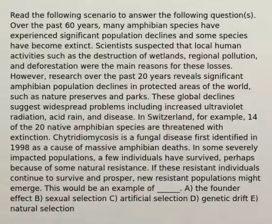 Read the following scenario to answer the following question(s). Over the past 60 years, many amphibian species have experienced significant population declines and some species have become extinct. Scientists suspected that local human activities such as the destruction of wetlands, regional pollution, and deforestation were the main reasons for these losses. However, research over the past 20 years reveals significant amphibian population declines in protected areas of the world, such as nature preserves and parks. These global declines suggest widespread problems including increased ultraviolet radiation, acid rain, and disease. In Switzerland, for example, 14 of the 20 native amphibian species are threatened with extinction. Chytridiomycosis is a fungal disease first identified in 1998 as a cause of massive amphibian deaths. In some severely impacted populations, a few individuals have survived, perhaps because of some natural resistance. If these resistant individuals continue to survive and prosper, new resistant populations might emerge. This would be an example of ______. A) the founder effect B) sexual selection C) artificial selection D) genetic drift E) natural selection