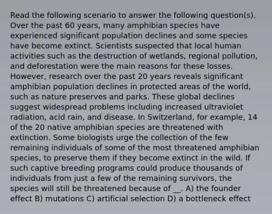 Read the following scenario to answer the following question(s). Over the past 60 years, many amphibian species have experienced significant population declines and some species have become extinct. Scientists suspected that local human activities such as the destruction of wetlands, regional pollution, and deforestation were the main reasons for these losses. However, research over the past 20 years reveals significant amphibian population declines in protected areas of the world, such as nature preserves and parks. These global declines suggest widespread problems including increased ultraviolet radiation, acid rain, and disease. In Switzerland, for example, 14 of the 20 native amphibian species are threatened with extinction. Some biologists urge the collection of the few remaining individuals of some of the most threatened amphibian species, to preserve them if they become extinct in the wild. If such captive breeding programs could produce thousands of individuals from just a few of the remaining survivors, the species will still be threatened because of __. A) the founder effect B) mutations C) artificial selection D) a bottleneck effect