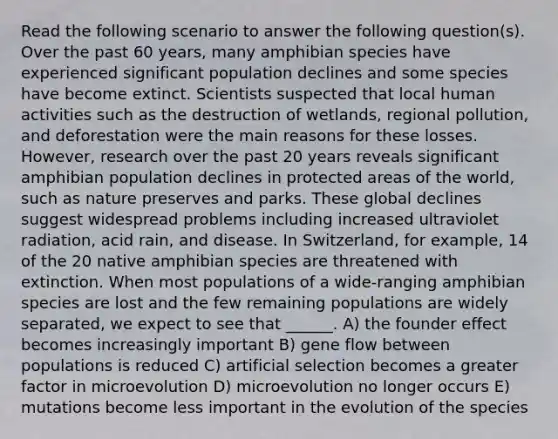 Read the following scenario to answer the following question(s). Over the past 60 years, many amphibian species have experienced significant population declines and some species have become extinct. Scientists suspected that local human activities such as the destruction of wetlands, regional pollution, and deforestation were the main reasons for these losses. However, research over the past 20 years reveals significant amphibian population declines in protected areas of the world, such as nature preserves and parks. These global declines suggest widespread problems including increased ultraviolet radiation, acid rain, and disease. In Switzerland, for example, 14 of the 20 native amphibian species are threatened with extinction. When most populations of a wide-ranging amphibian species are lost and the few remaining populations are widely separated, we expect to see that ______. A) the founder effect becomes increasingly important B) gene flow between populations is reduced C) artificial selection becomes a greater factor in microevolution D) microevolution no longer occurs E) mutations become less important in the evolution of the species