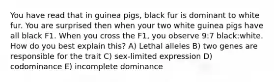 You have read that in guinea pigs, black fur is dominant to white fur. You are surprised then when your two white guinea pigs have all black F1. When you cross the F1, you observe 9:7 black:white. How do you best explain this? A) Lethal alleles B) two genes are responsible for the trait C) sex-limited expression D) codominance E) incomplete dominance