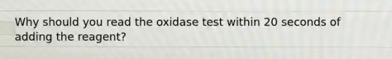 Why should you read the oxidase test within 20 seconds of adding the reagent?