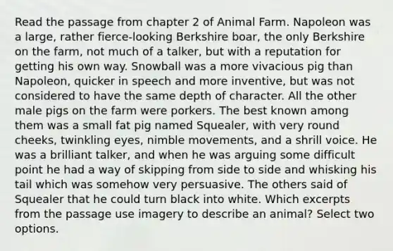 Read the passage from chapter 2 of Animal Farm. Napoleon was a large, rather fierce-looking Berkshire boar, the only Berkshire on the farm, not much of a talker, but with a reputation for getting his own way. Snowball was a more vivacious pig than Napoleon, quicker in speech and more inventive, but was not considered to have the same depth of character. All the other male pigs on the farm were porkers. The best known among them was a small fat pig named Squealer, with very round cheeks, twinkling eyes, nimble movements, and a shrill voice. He was a brilliant talker, and when he was arguing some difficult point he had a way of skipping from side to side and whisking his tail which was somehow very persuasive. The others said of Squealer that he could turn black into white. Which excerpts from the passage use imagery to describe an animal? Select two options.