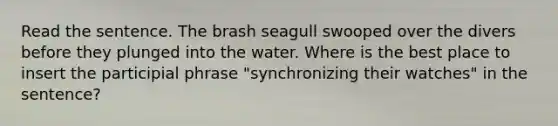 Read the sentence. The brash seagull swooped over the divers before they plunged into the water. Where is the best place to insert the participial phrase "synchronizing their watches" in the sentence?