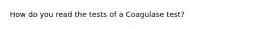 How do you read the tests of a Coagulase test?