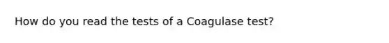 How do you read the tests of a Coagulase test?