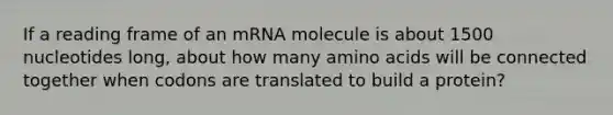 If a reading frame of an mRNA molecule is about 1500 nucleotides long, about how many <a href='https://www.questionai.com/knowledge/k9gb720LCl-amino-acids' class='anchor-knowledge'>amino acids</a> will be connected together when codons are translated to build a protein?