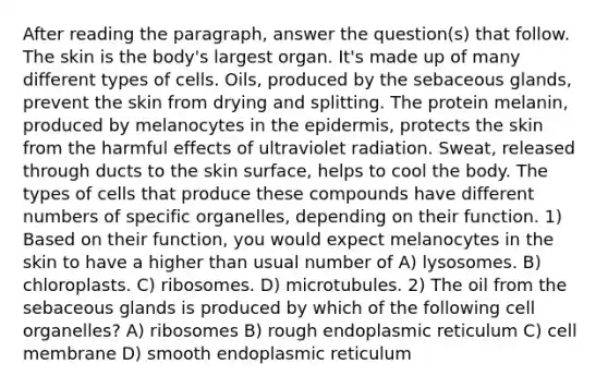 After reading the paragraph, answer the question(s) that follow. The skin is the body's largest organ. It's made up of many different types of cells. Oils, produced by the sebaceous glands, prevent the skin from drying and splitting. The protein melanin, produced by melanocytes in the epidermis, protects the skin from the harmful effects of ultraviolet radiation. Sweat, released through ducts to the skin surface, helps to cool the body. The types of cells that produce these compounds have different numbers of specific organelles, depending on their function. 1) Based on their function, you would expect melanocytes in the skin to have a higher than usual number of A) lysosomes. B) chloroplasts. C) ribosomes. D) microtubules. 2) The oil from the sebaceous glands is produced by which of the following cell organelles? A) ribosomes B) rough endoplasmic reticulum C) cell membrane D) smooth endoplasmic reticulum