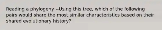 Reading a phylogeny --Using this tree, which of the following pairs would share the most similar characteristics based on their shared evolutionary history?