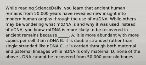 While reading ScienceDaily, you learn that ancient human remains from 50,000 years have revealed new insight into modern human origins through the use of mtDNA. While others may be wondering what mtDNA is and why it was used instead of nDNA, you know mtDNA is more likely to be recovered in ancient remains because _____. A. it is more abundant with more copies per cell than nDNA B. it is double stranded rather than single stranded like nDNA C. it is carried through both maternal and paternal lineages while nDNA is only maternal D. none of the above - DNA cannot be recovered from 50,000 year old bones