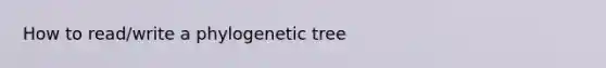 How to read/write a phylogenetic tree