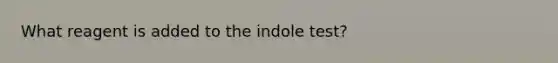 What reagent is added to the indole test?