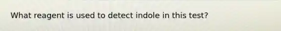 What reagent is used to detect indole in this test?