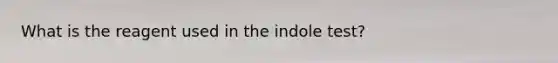 What is the reagent used in the indole test?