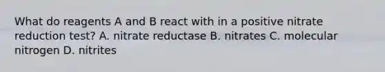 What do reagents A and B react with in a positive nitrate reduction test? A. nitrate reductase B. nitrates C. molecular nitrogen D. nitrites