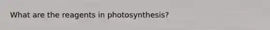 What are the reagents in photosynthesis?