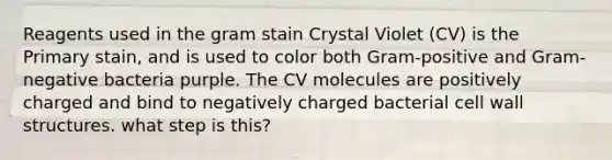 Reagents used in the gram stain Crystal Violet (CV) is the Primary stain, and is used to color both Gram-positive and Gram-negative bacteria purple. The CV molecules are positively charged and bind to negatively charged bacterial cell wall structures. what step is this?