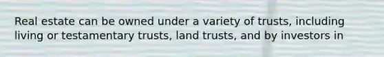 Real estate can be owned under a variety of trusts, including living or testamentary trusts, land trusts, and by investors in