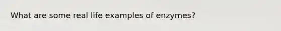 What are some real life examples of enzymes?