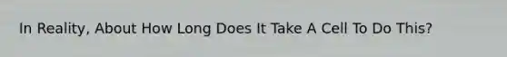 In Reality, About How Long Does It Take A Cell To Do This?