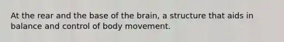 At the rear and the base of the brain, a structure that aids in balance and control of body movement.