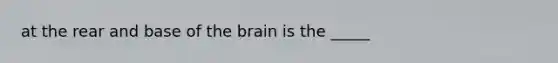 at the rear and base of the brain is the _____