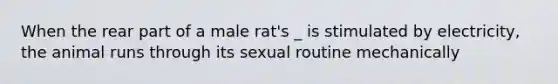 When the rear part of a male rat's _ is stimulated by electricity, the animal runs through its sexual routine mechanically